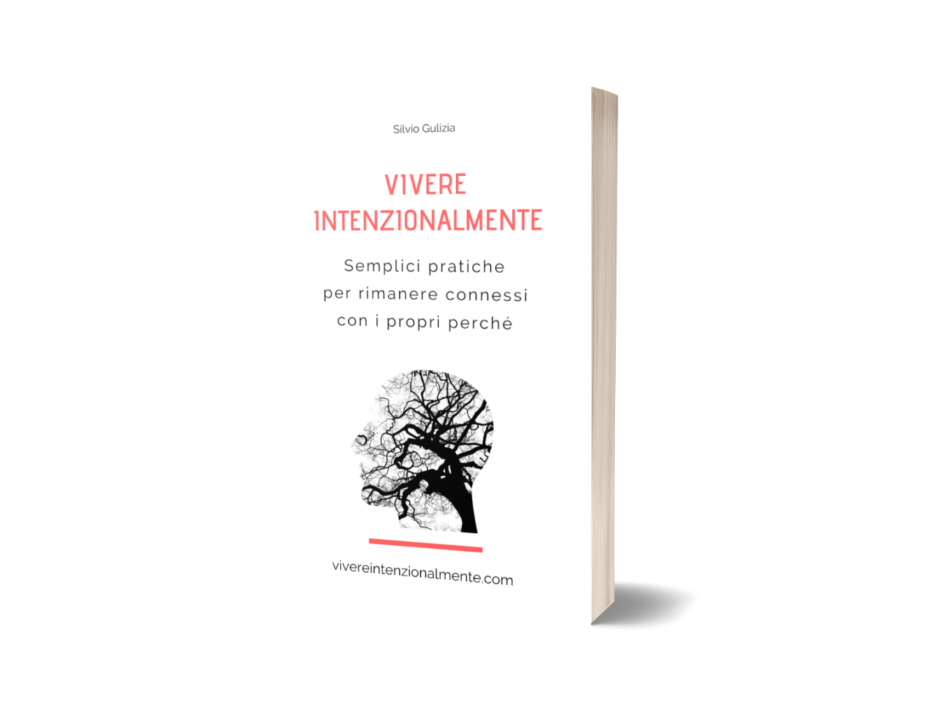 Vivere intenzionalmente: semplici pratiche per rimanere connessi con i propri perché, vivereintenzionalmente, Gulizia